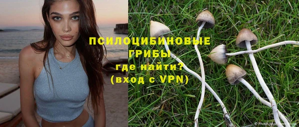 индика Алексеевка