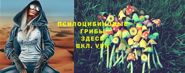 спайс Алзамай