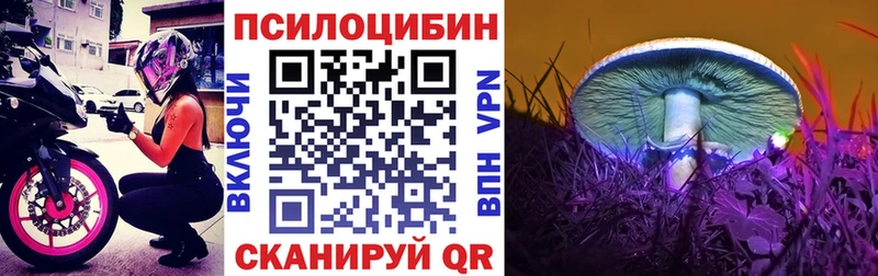 Псилоцибиновые грибы Psilocybe  Ардон 